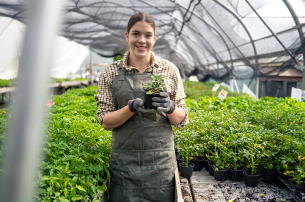 istock Gardening Professional Tends to Young Plants 2156879091