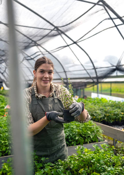istock Gardening Expert Tends to Young Plants 2156879094
