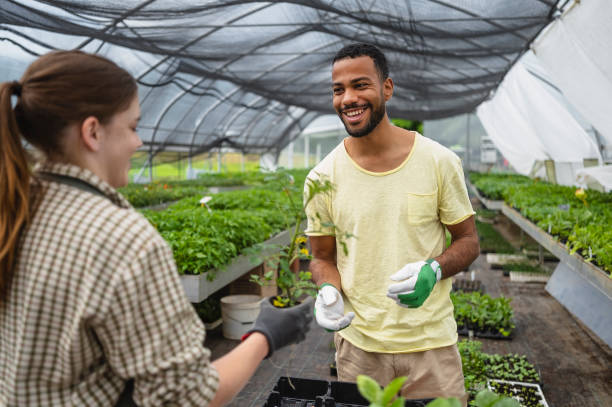 istock Diverse Team Tending Young Plants in Greenhouse 2156879112