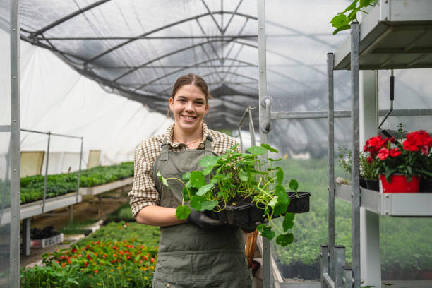 istock Garden Center Employee Preparing Plants for Sale 2156879113