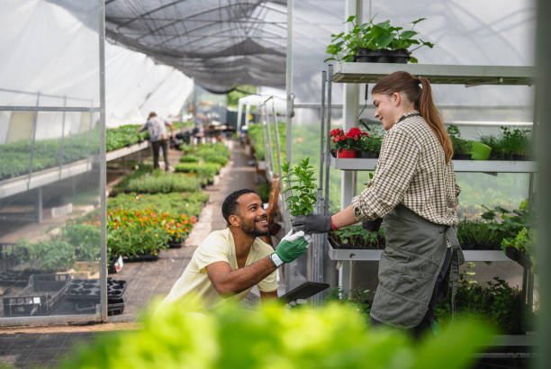 istock Diverse Garden Center Employees Engage in Horticulture Using Tablet 2156879133