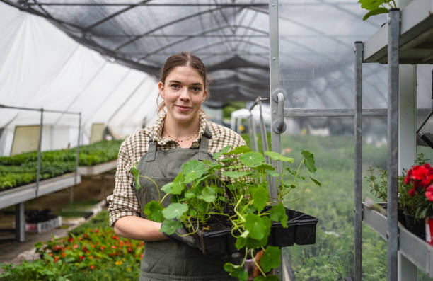 istock Nurturing Growth at Garden Center 2156879140