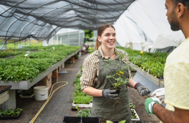istock Diverse Gardeners Tending Young Plants 2156879145
