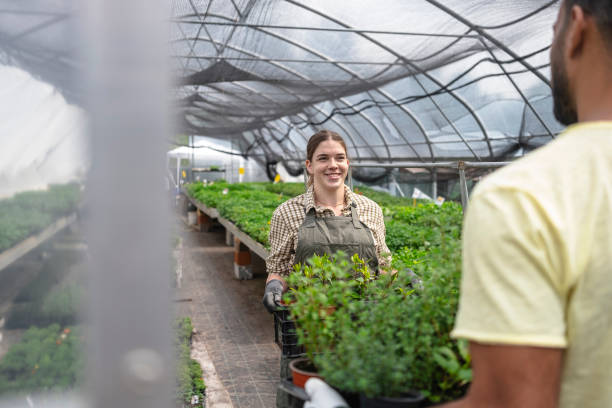 istock Diverse Team Tending Young Plants in Nursery 2156879150
