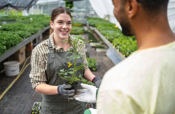 Garden Center Collaboration between Caucasian Woman and Diverse Man