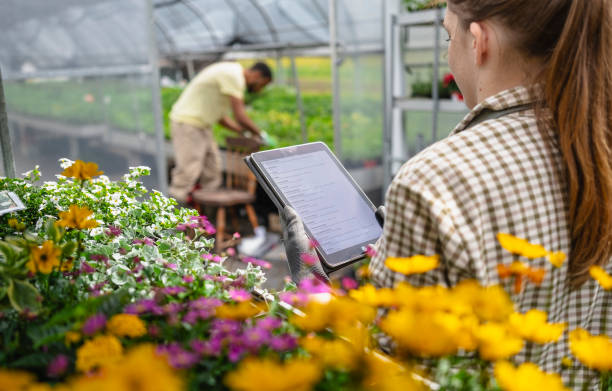 istock Diverse Team Cultivating Plants at Nursery 2156879168