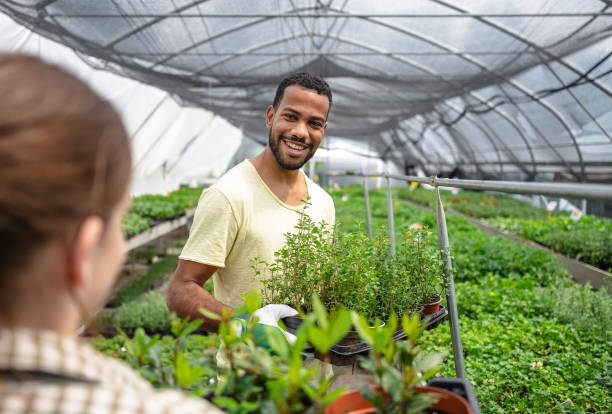 istock Diverse Team Tending Plants in Greenhouse 2156879176