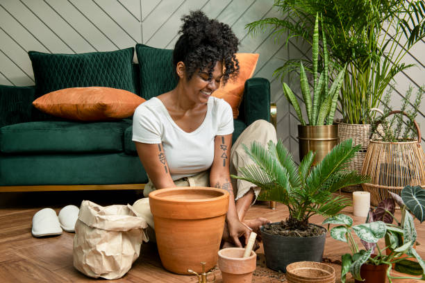 istock Woman repotting plants in the new normal 2156879413