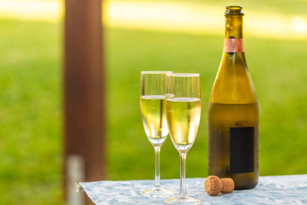 istock Champagne glass on a patio with grass 2156889300