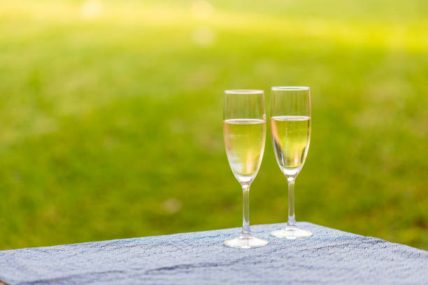 istock Champagne glass on a patio with grass 2156889336