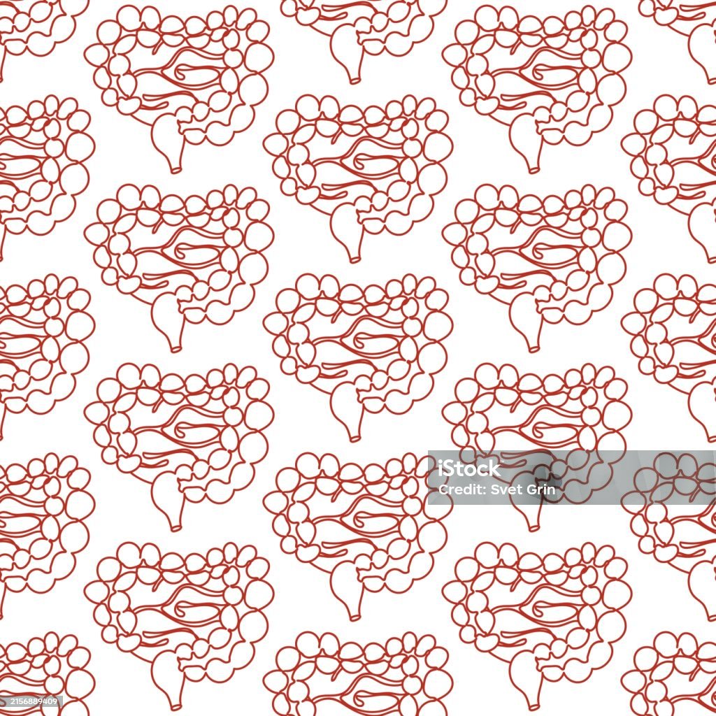 Instestine Pattern A Pattern Of Large And Small Intestines In A Linear Style A Repeating ...