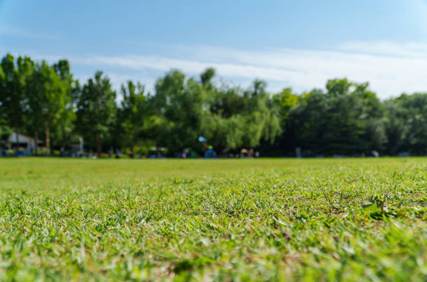 istock Outdoor lawn background 2156890224