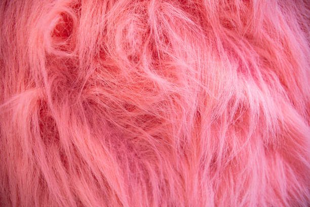 istock pink velour plush cloth textured background 2156891394