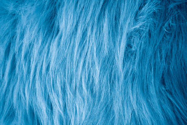 istock turquoise velour plush cloth textured background 2156892148