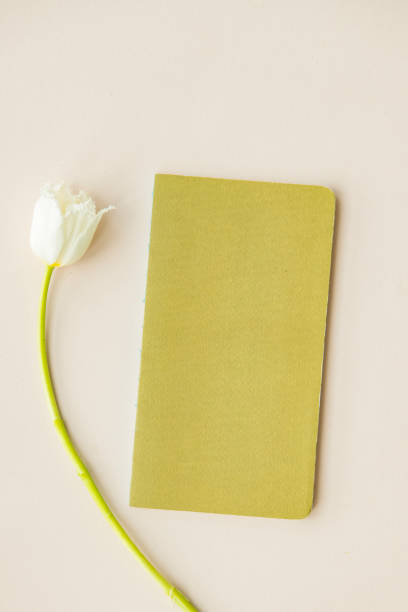 White parrot tulip with a blank yellow card