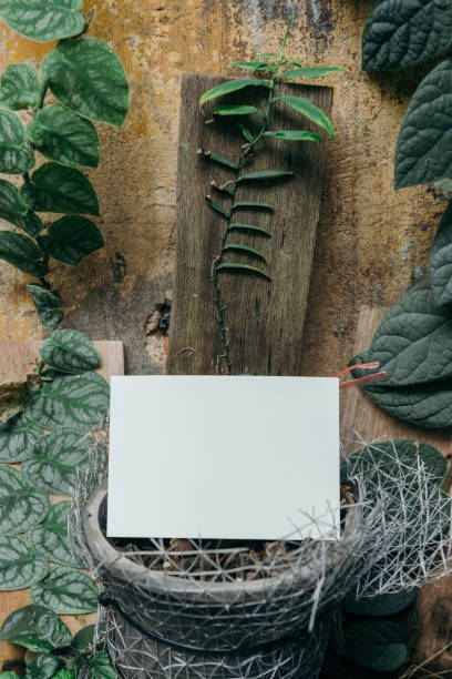 istock Blank white card surrounded by leaves 2156900482