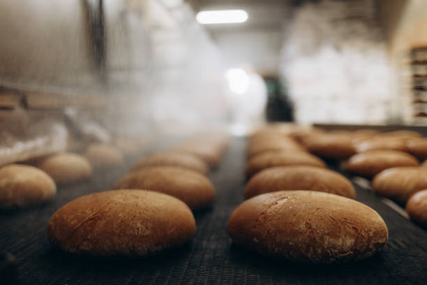 Fresh buns from the oven. Conveyor with bread. Baking bread. Workshop for production of bread. White bread in the oven. Hot buns. Confectionery.