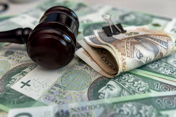 istock pln polish money with gavel hammer 2156905020