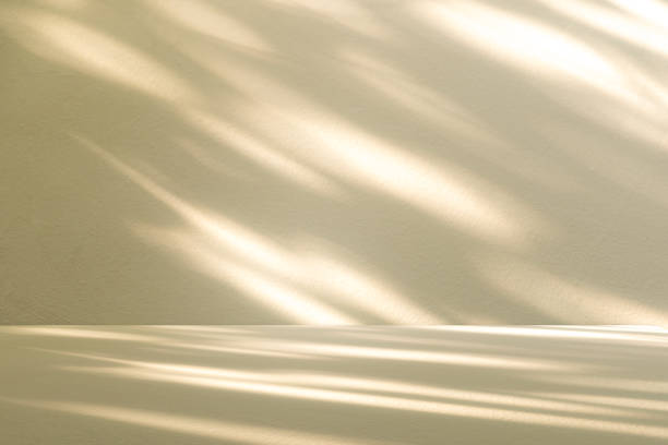 istock Wall interior background, studio and backdrops show leaf products.with shadow leaf from window color beige and white. background for text insertion and presentation product 2156905473