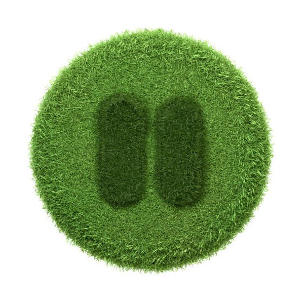 istock A stop button icon depicted with a textured green grass surface isolated on a white background 2156906089