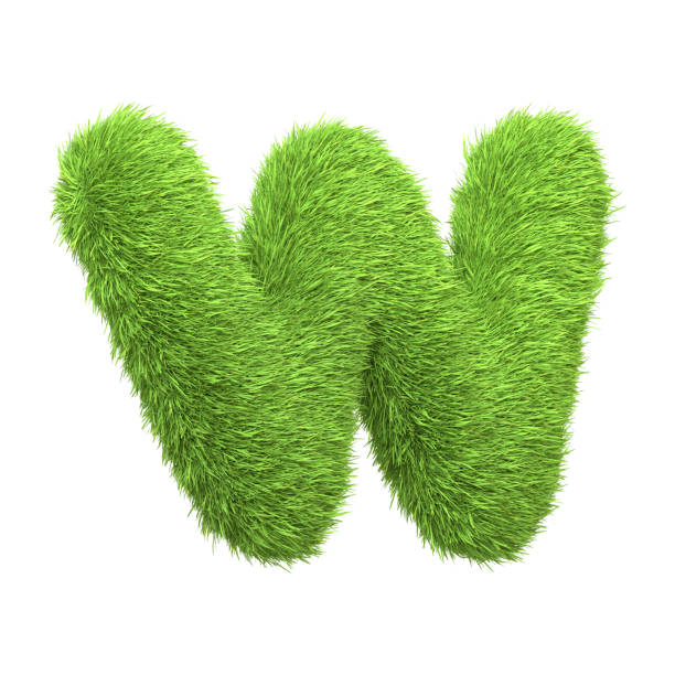 Capital letter W shaped from lush green grass, isolated on a white background. Side view. 3D render illustration