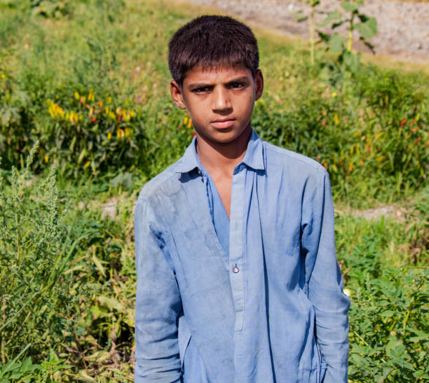 istock 14-year-old boy working on a tomato farm, standing in the field. 2156908280