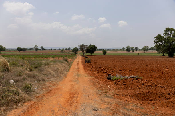 Scenic view of a dusty road stretching through agricultural fields under a clear sky