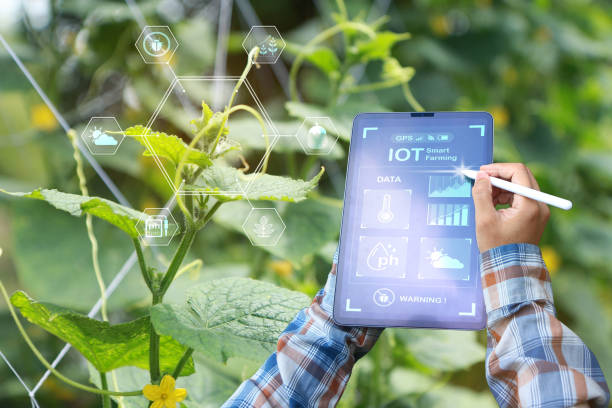 istock Smart farmer or organic farming 2156909979