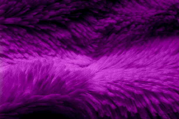 purple velour plush cloth textured background for design purpose