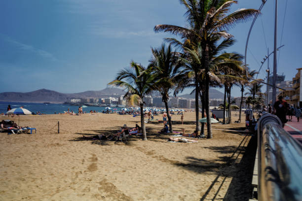 istock Las Palmas de Gran Canaria 2156913318