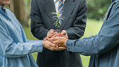 collaboration-between-the-government-the-private-sector-and-the-public-to-help-plant-trees.jpg?b=1&s=170x170&k=20&c=gA-X892YM4Wh4HhDoIIRiKdd4fWhIjaBhW_C_CpyOy8=