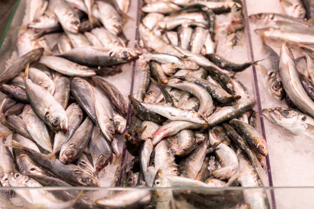 istock Fresh fish on ice at a market stall 2156914540