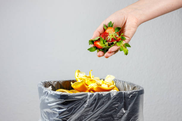 istock waste sorting . bio waste, organic waste on white background 2156920626