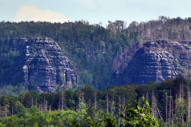 Saxon Switzerland National Park in Saxony, Germany.
