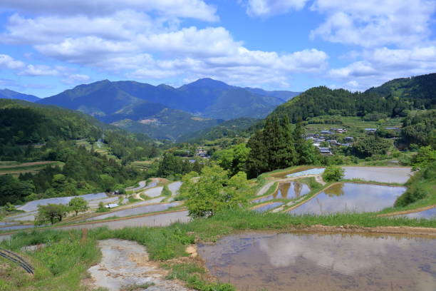 istock Yoshinobu  Terraced Rice Fields, Water filled season (Motoyama Town, Kochi Prefecture) 2156926997