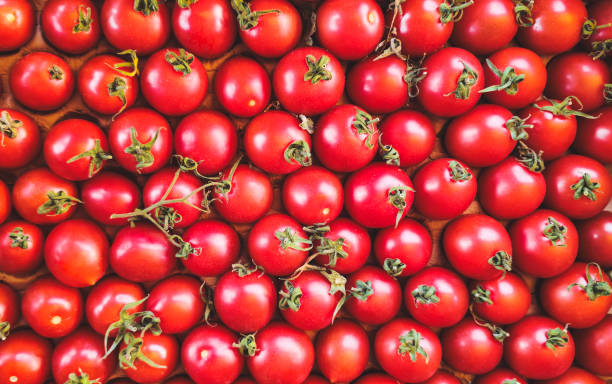 istock tomatoes top view texture of vegetables 2156927031