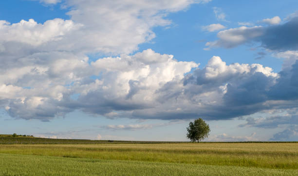 Typical agrarian landscapes in Lower Austria.