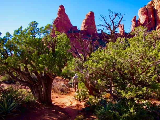 Spectacular 2.2 mile round trip along Boynton Vista Trail to Boynton Spires. The towering red Sandstone formations stand guard at the mouth of Boynton Canyon in Sedona, Arizona.