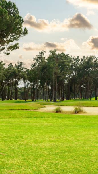 istock Panoramic view of beautiful golf course with pines with dramatic sky and clouds 2156937688