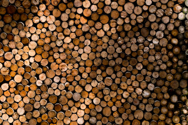istock Trees cross-section of a whole wall 2156939537