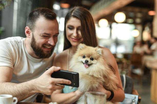 istock Couple And Their Pet Pomeranian During Video Call 2156939778