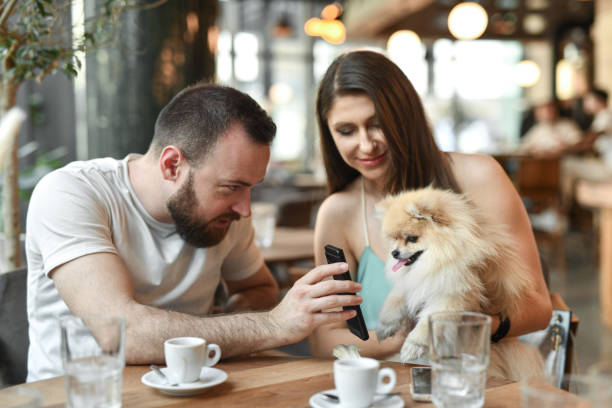istock Couple Showing Smartphone Camera Reflection To Pomeranian Dog 2156940165