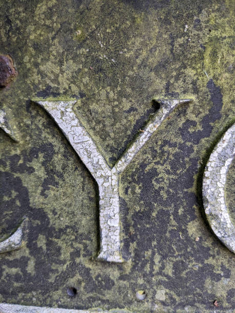 istock Written Wording in Distressed State Typography Found Letter Randsom Note Y 2156943758