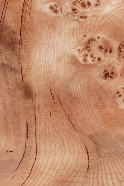 Wood texture for design and decoration background.