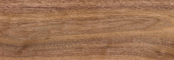 istock Brown color nature pattern shoot in indoor studio. 2156944746