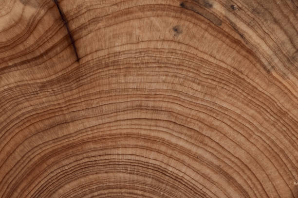 istock Empty color of brown surface on nature pattern desk board. 2156944996