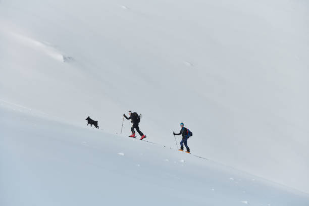 istock Pushing Limits on High: A Team of Experts Conquers the Backcountry 2156945577