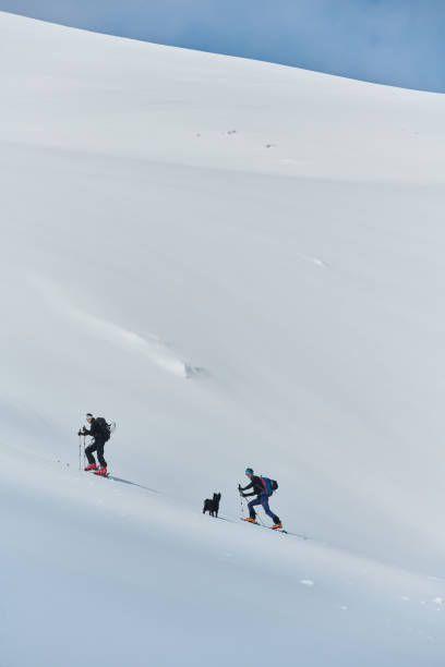istock Alpine Ascent: Two Professional Skiers Conquer Snowy Peaks as a Determined Team. 2156946933