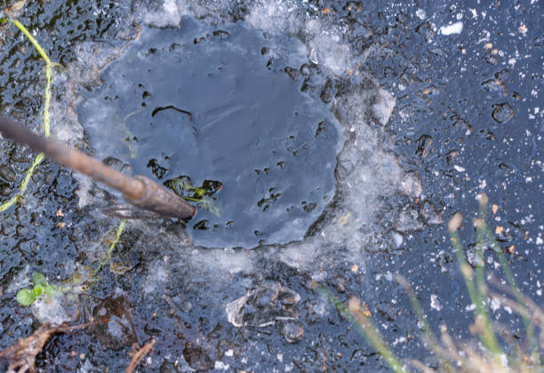 Making a hole in a frozen garden pond in winter using an iron fire poker.