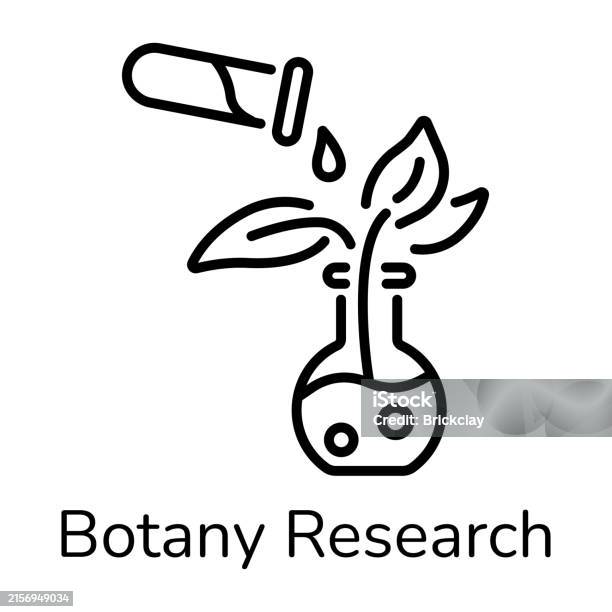 Botany Stock Image Botany Research Stock Illustration - Download Image Now - Biology ...